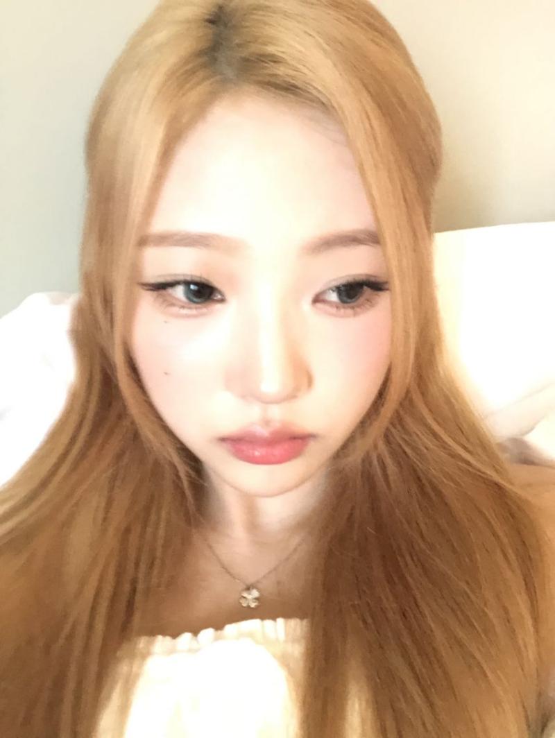 하츠투하츠 스텔라