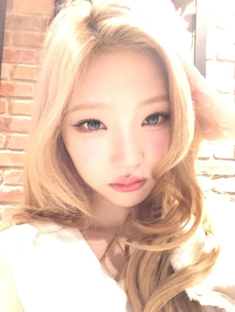 하츠투하츠 스텔라