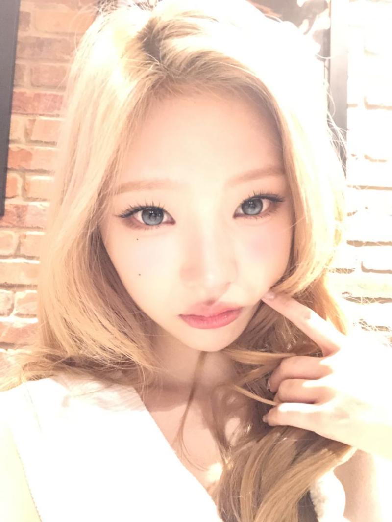 하츠투하츠 스텔라