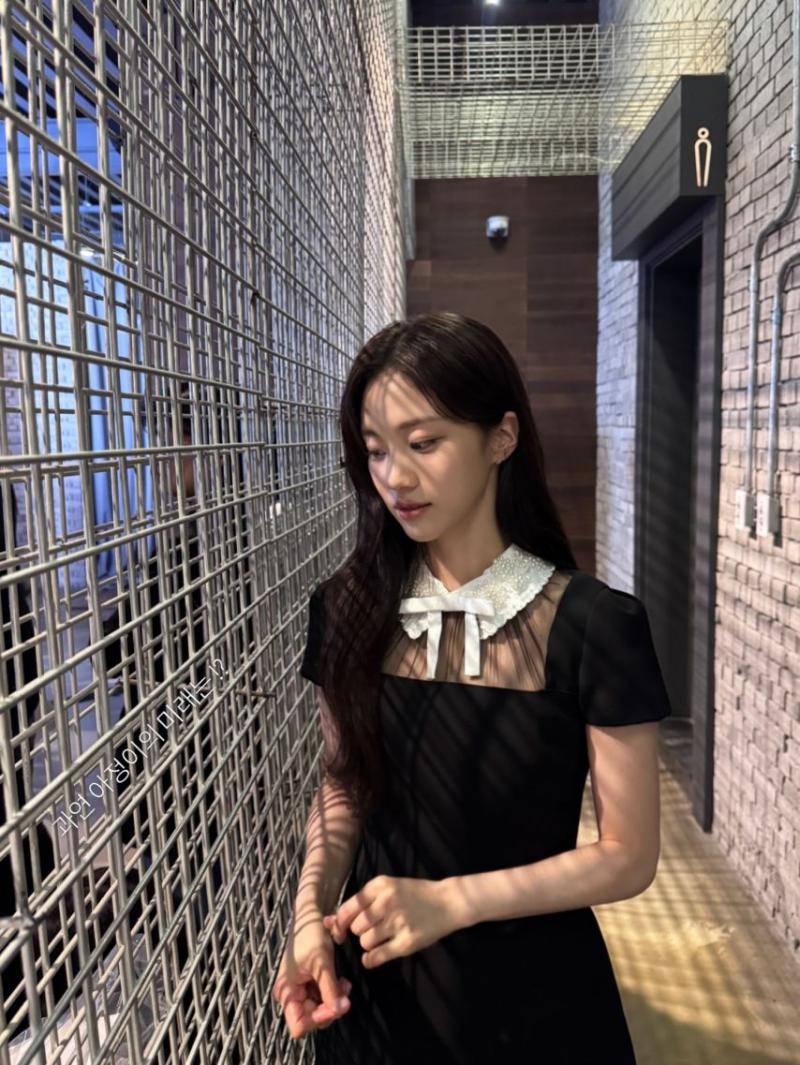 홍화연