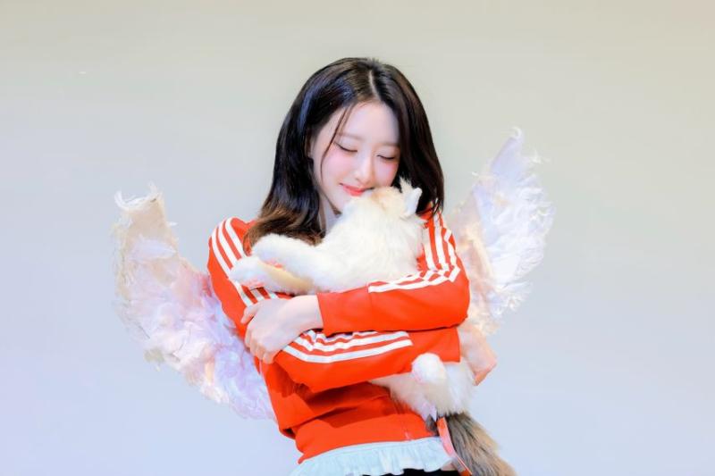 하이키 휘서