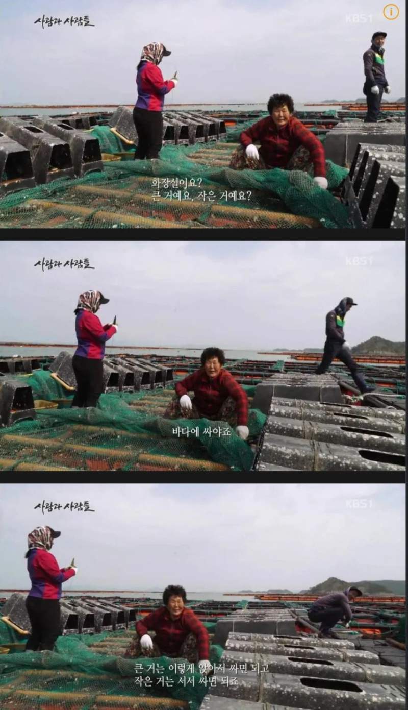 굴 먹고 노로 바이러스에 걸리는 이유
