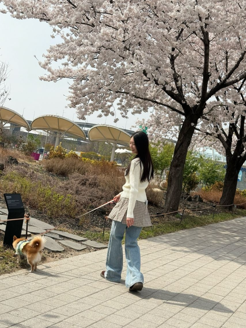 공승연