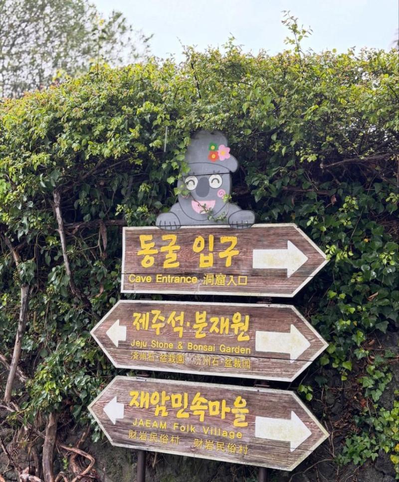 신예원 아나운서