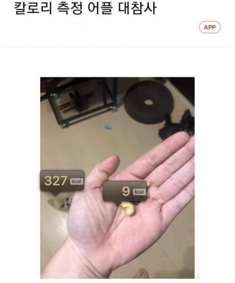 칼로리 측정 어플 대참사