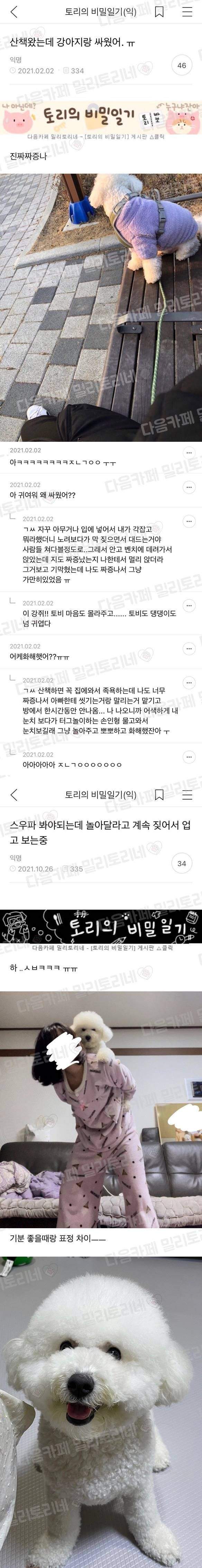 산책중 반려견과 진심으로 싸운 주인