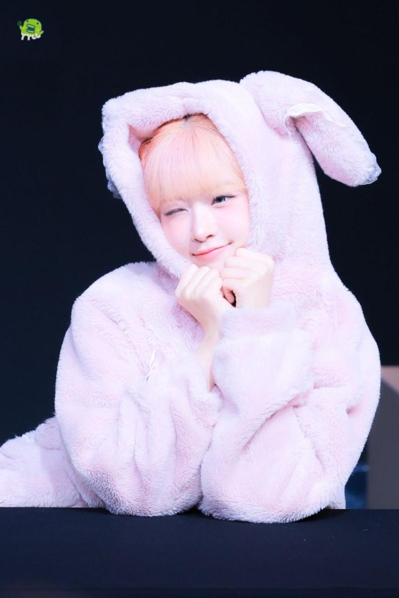 아이브 레이