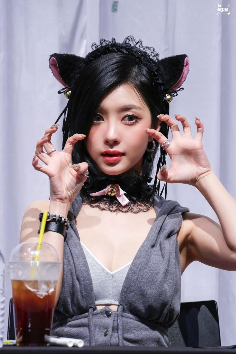 케플러 김다연