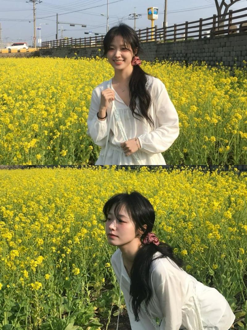 정보민