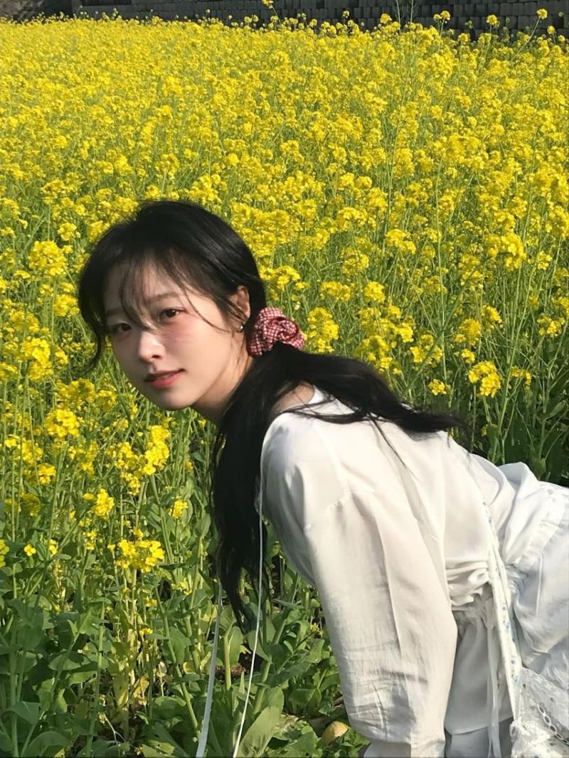 정보민