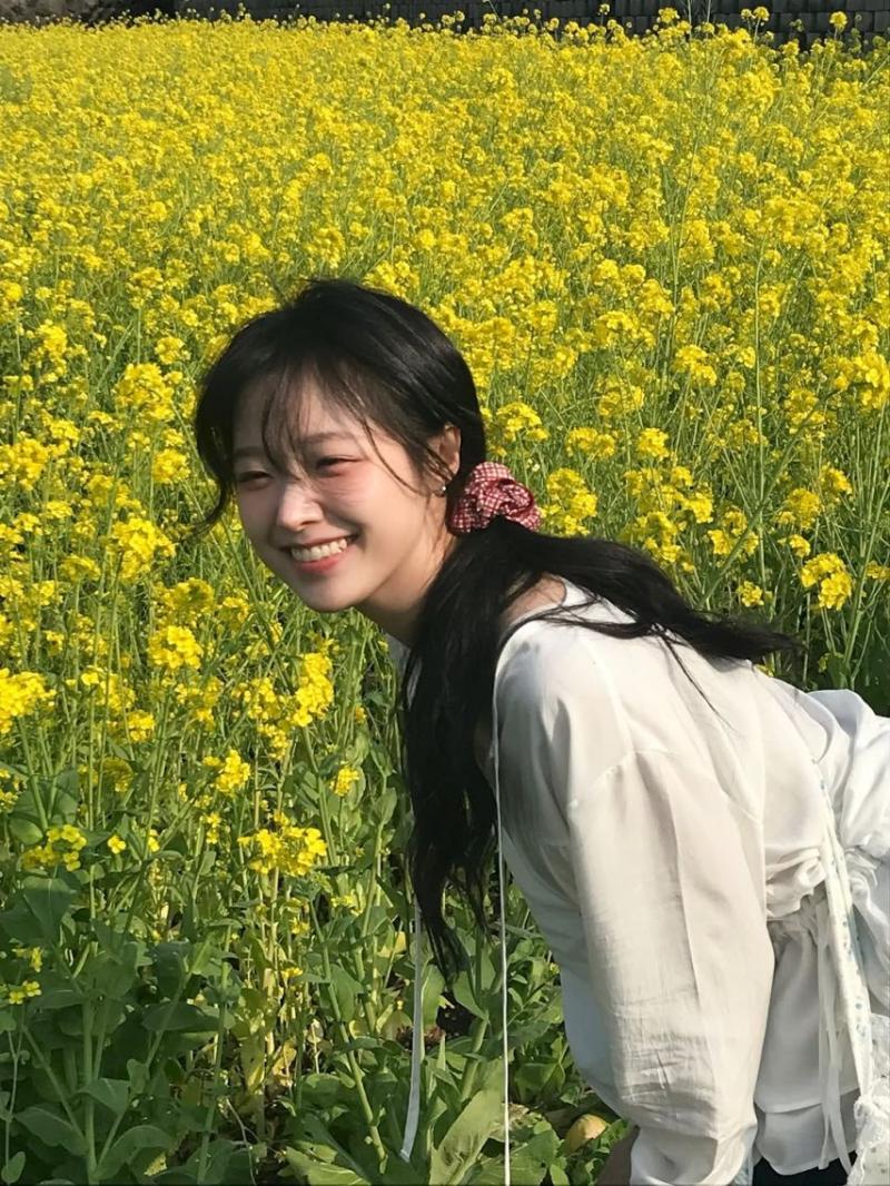 정보민