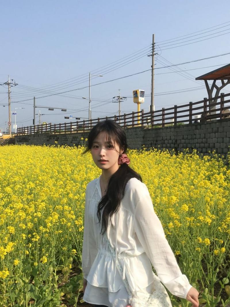 정보민