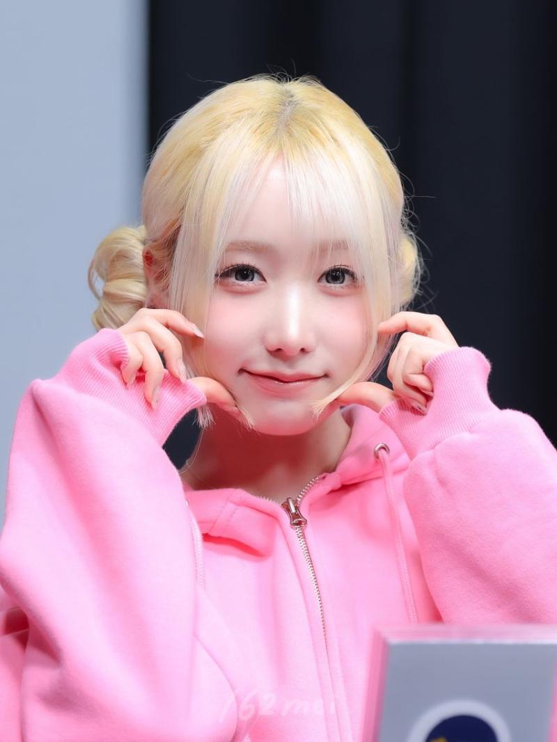 세이마이네임 메이