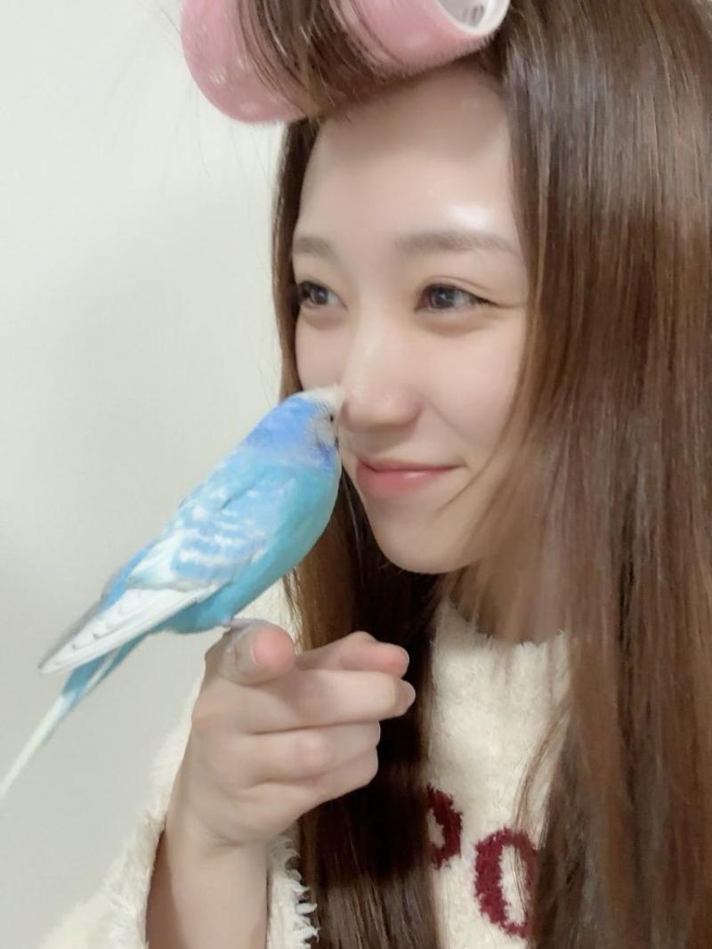 아이즈원 나코