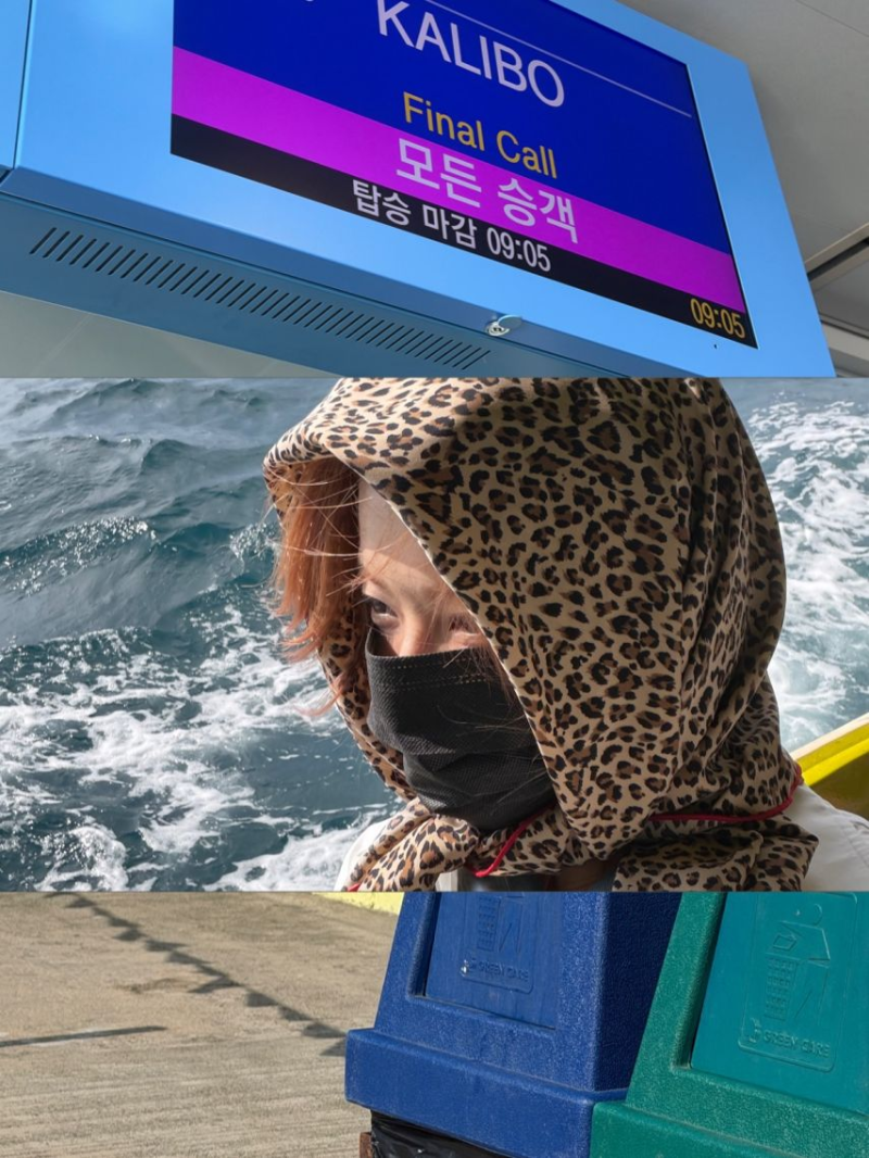 노정의