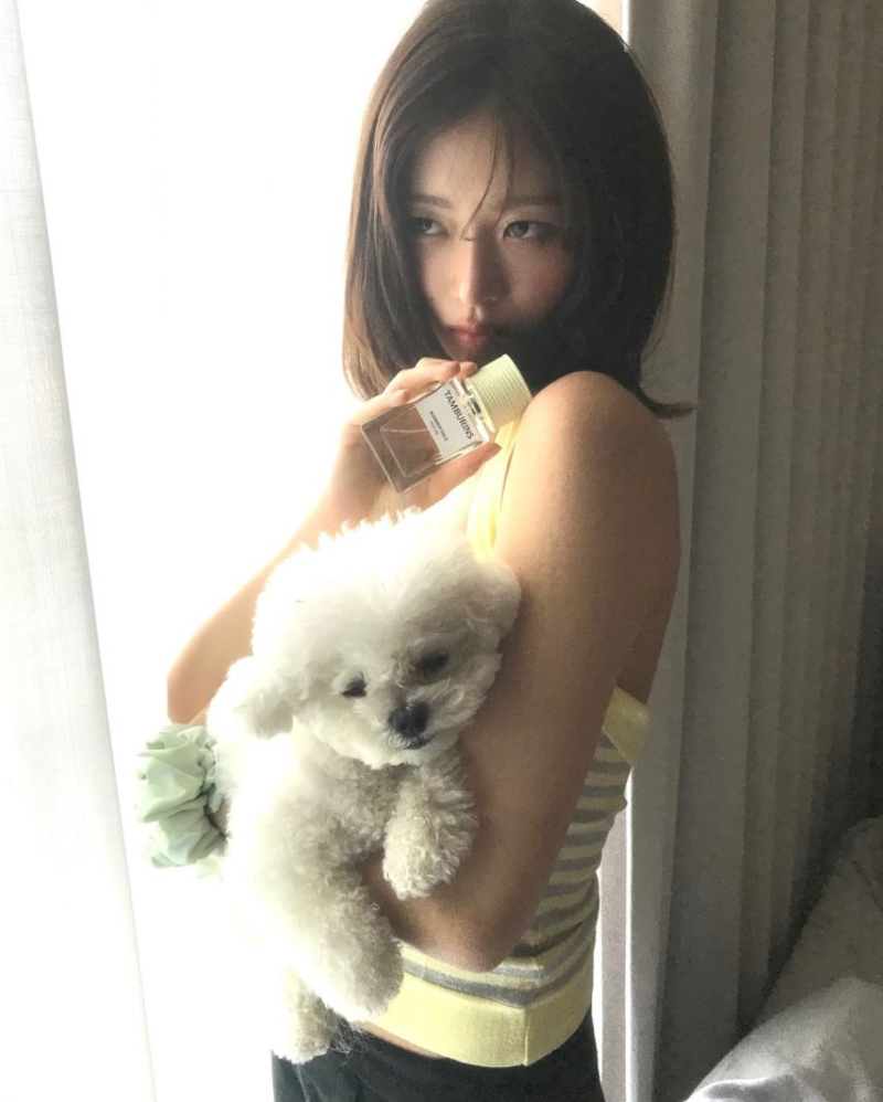 아이브 레이