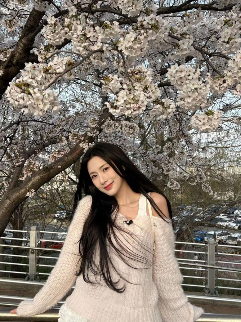 에이핑크 보미,하영