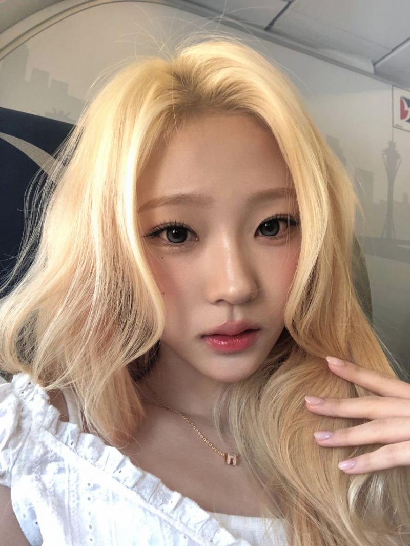 하츠투하츠 유하,  스텔라
