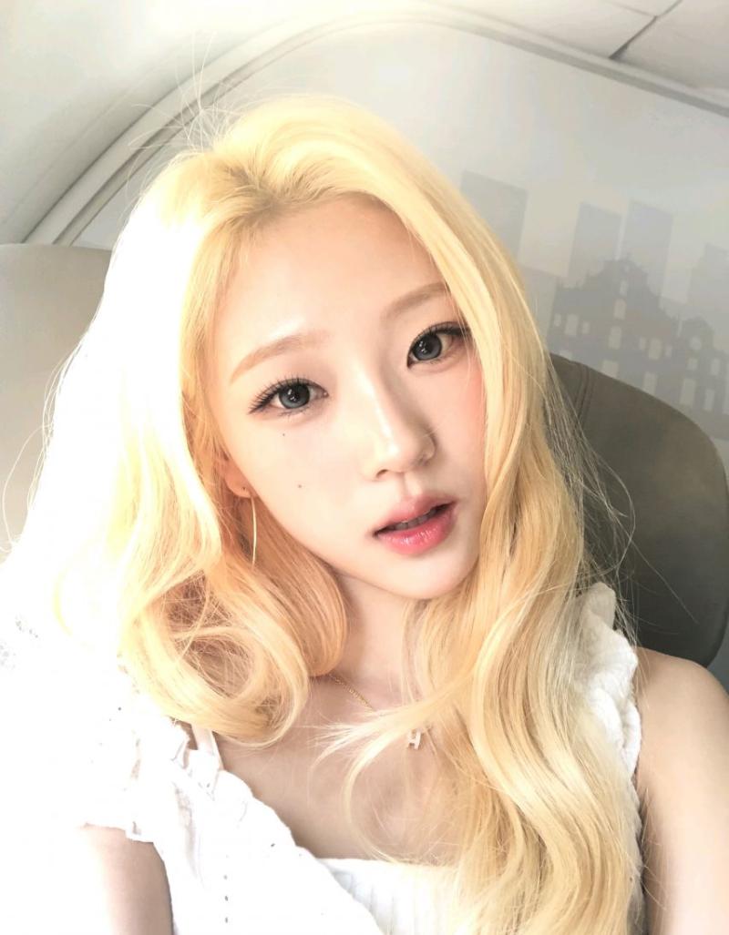 하츠투하츠 유하,  스텔라