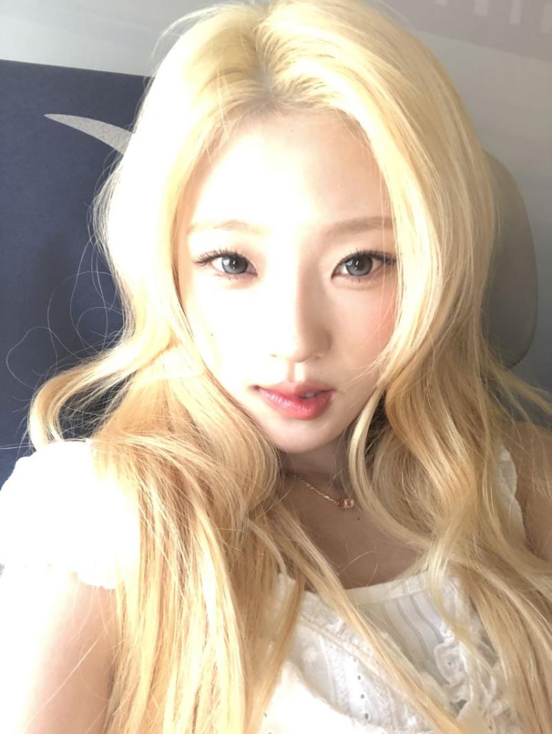 하츠투하츠 유하,  스텔라