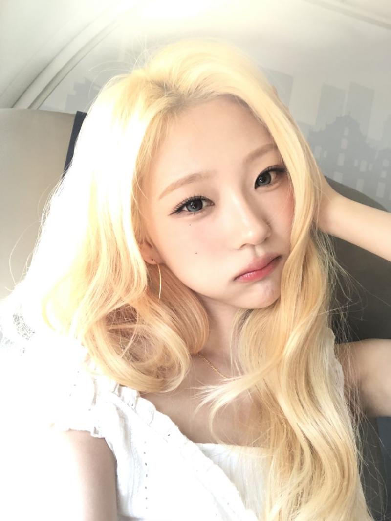 하츠투하츠 스텔라