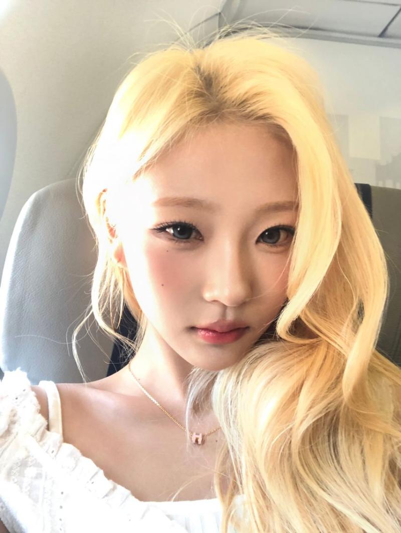 하츠투하츠 스텔라