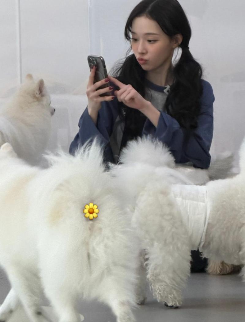 에스파 카리나,윈터,지젤