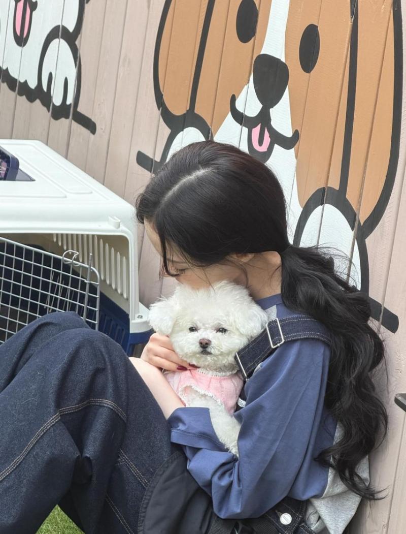 에스파 카리나,윈터,지젤