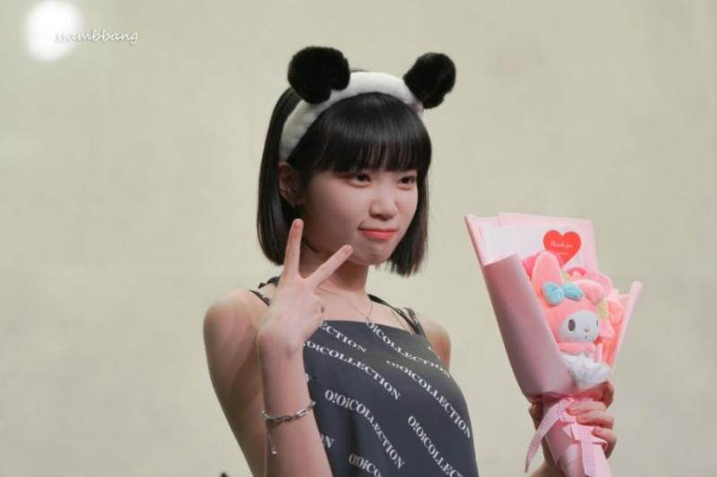르세라핌 김채원