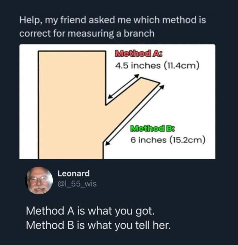 나뭇가지의 길이를 재는 방법?