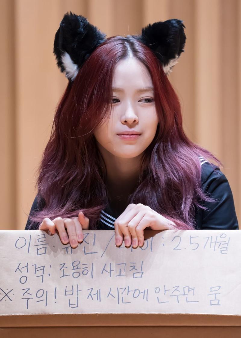 있지 류진