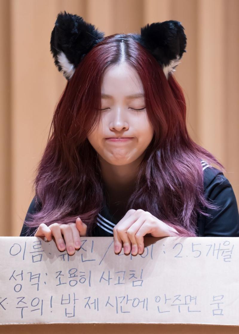 있지 류진