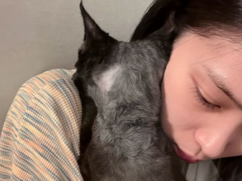 있지 류진