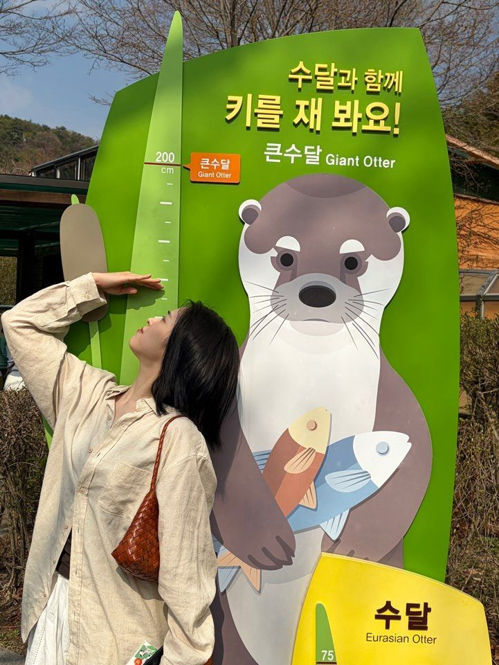 있지 류진
