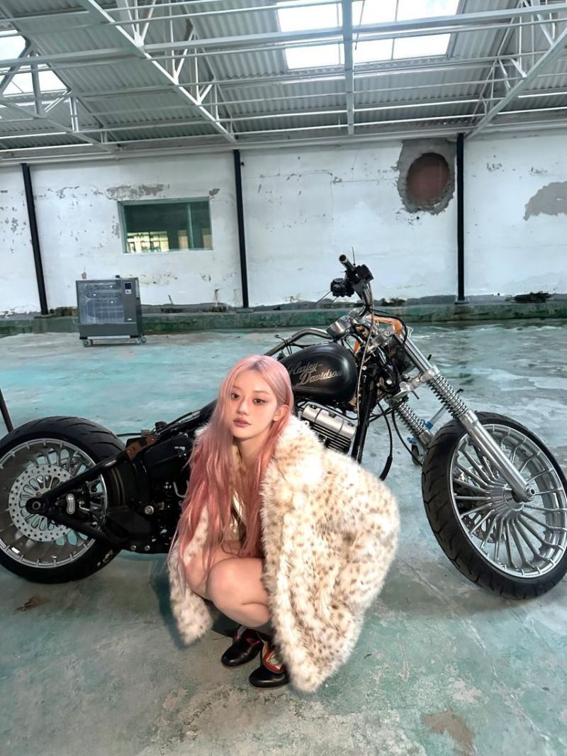 아일릿 민주