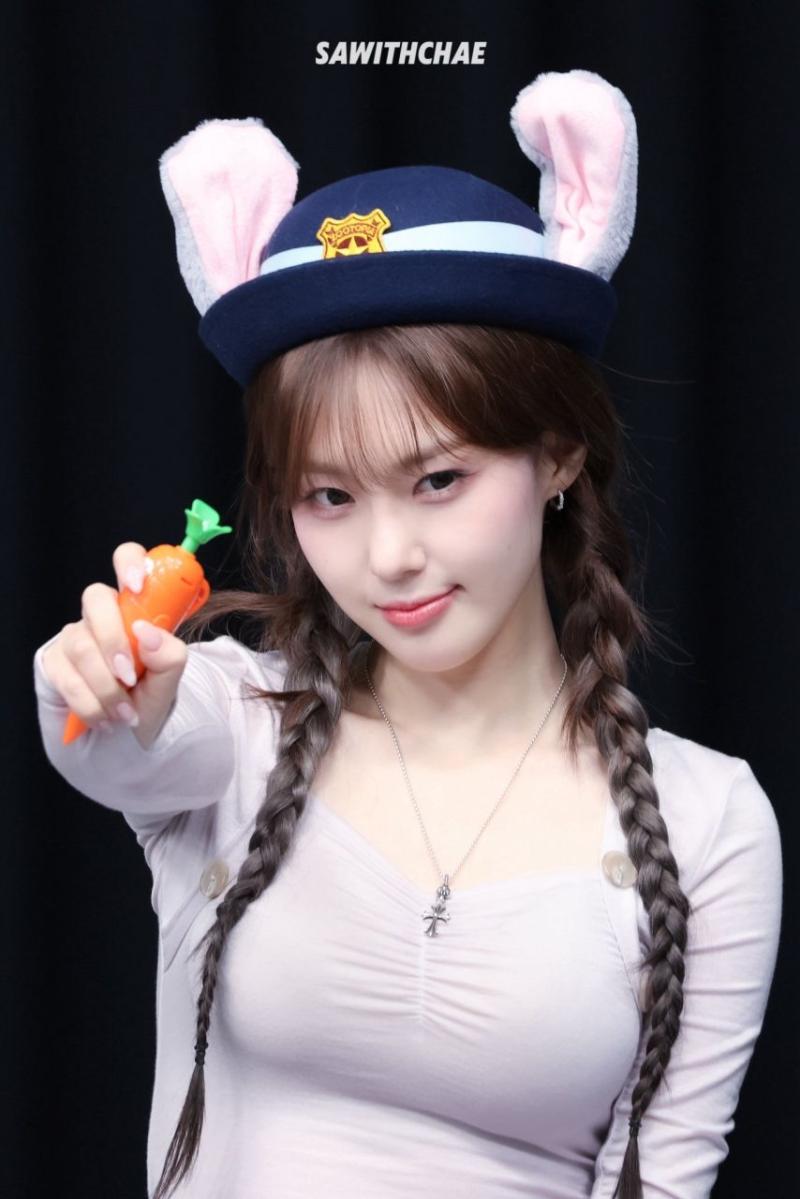 케플러 김채현