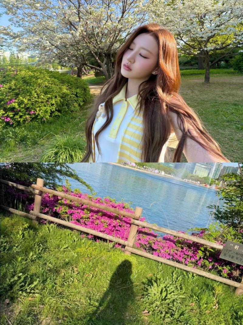 하이키 휘서