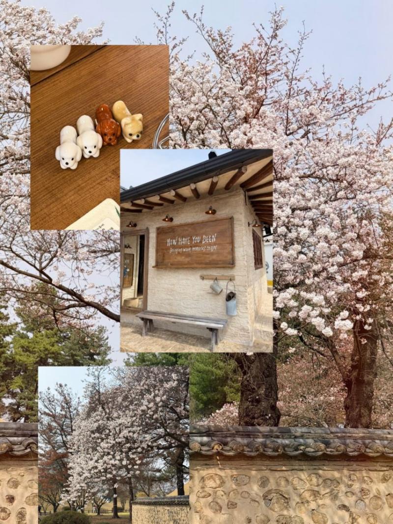 장예원 아나운서