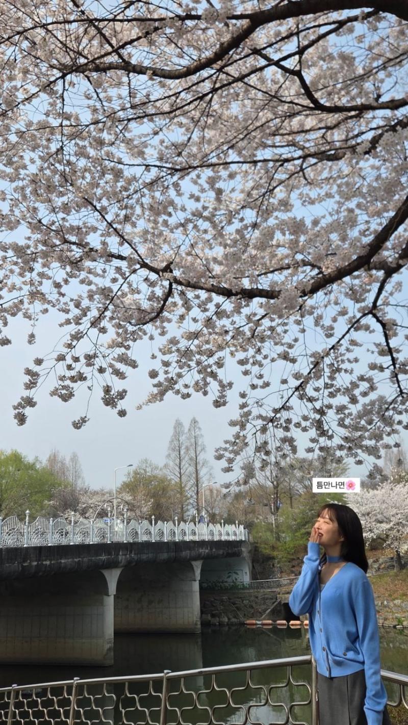 박보영