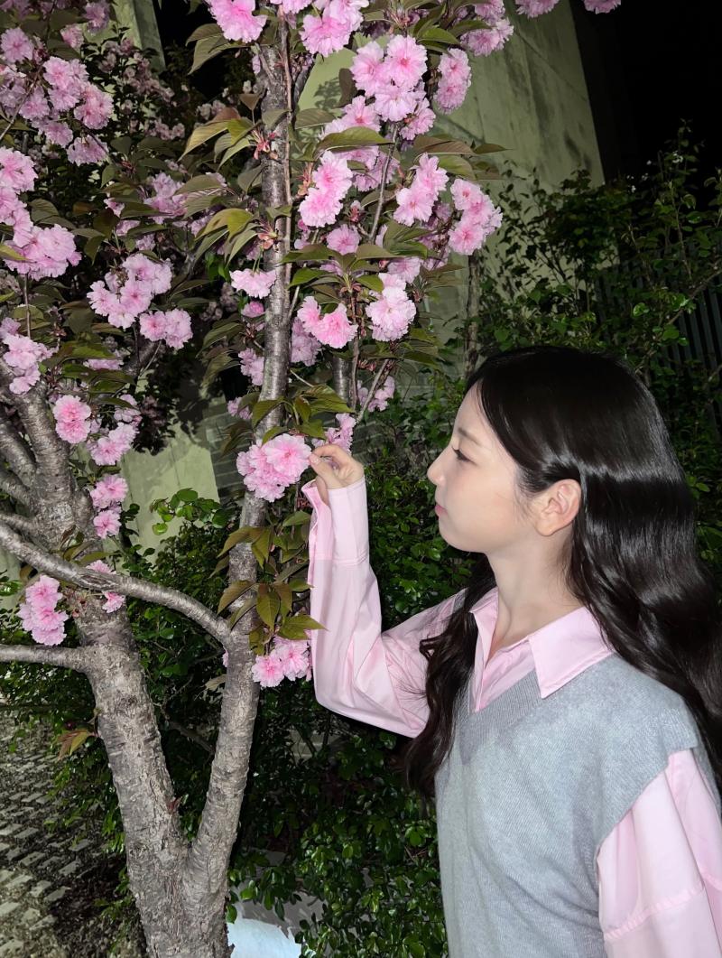 로켓펀치 연희
