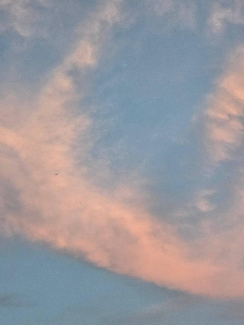 260823 팬사인회 트리플에스 김채연