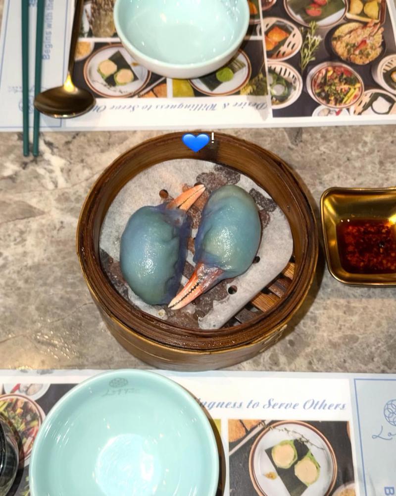 아이브 레이,이서