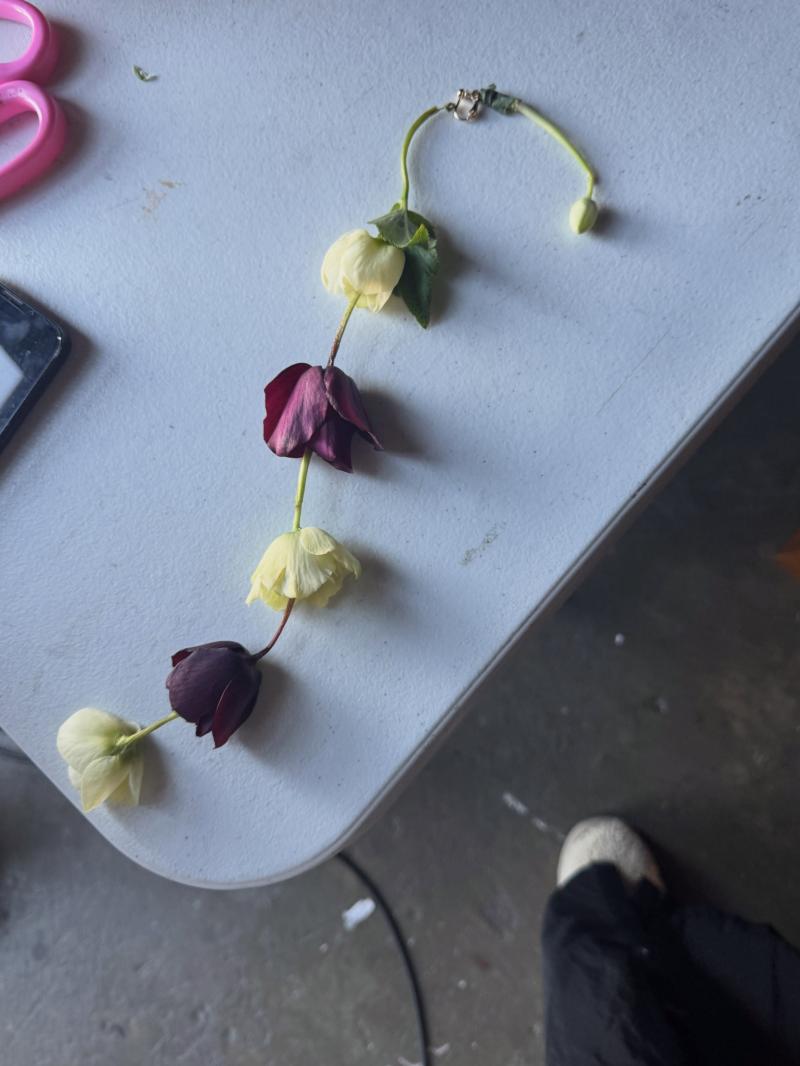 박지후 인별