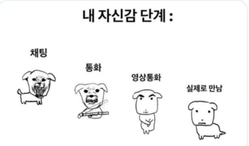 한국인의 자신감 단계.