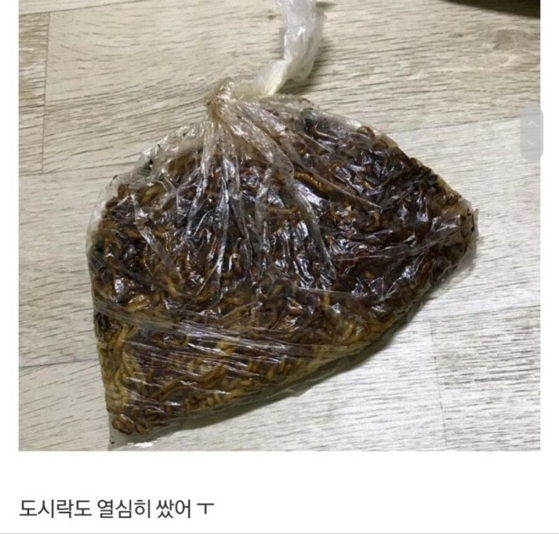 썸남과 피크닉 준비중인 여자.jpg