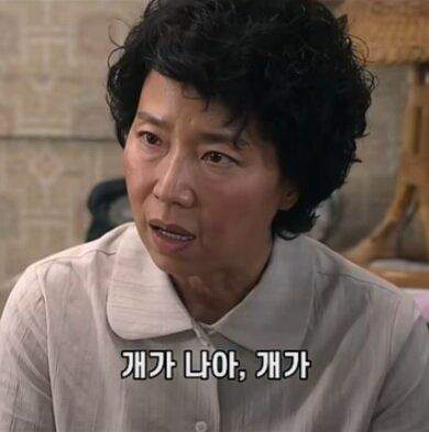 개가 원해요? 개가 원하지 않는다자나요