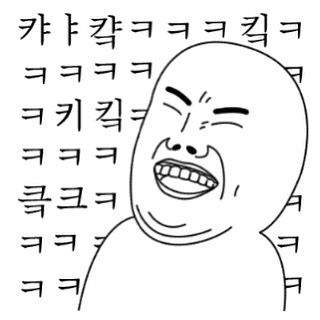 대한민국 테슬라 FSD 사형선고