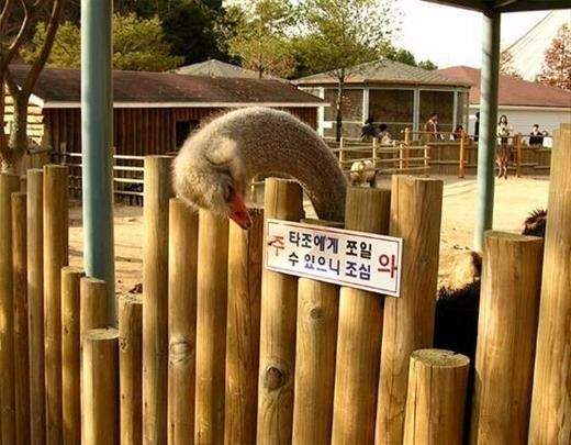 대체 뭐라 써 있길래 다들 날 피해