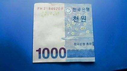 파스타 1인분 500원 크기 이게 맞는거지?