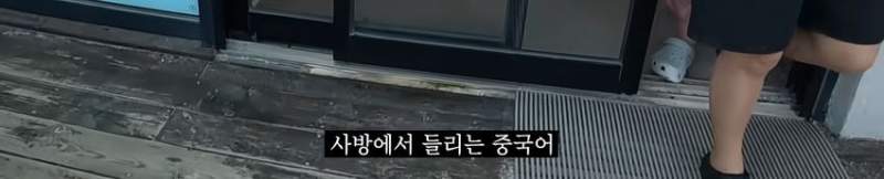충격의 제주도 시내거리 근황.jpg